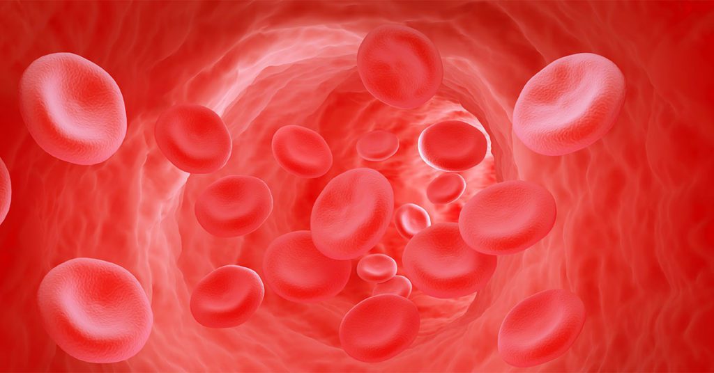 How To Increase Blood Flow To The Brain NeuroQ how-to-increase-blood-flow-to-the-brain-neuroq